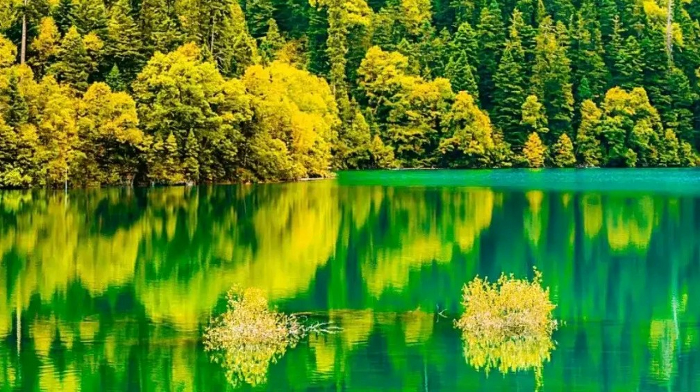 水質(zhì)安全 健康保障